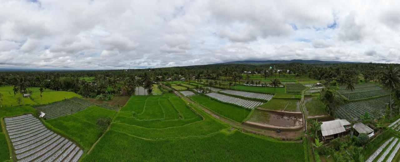 Green Haven Homestay Tetebatu Quarto foto